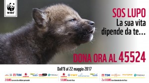 SOS Lupo SMS solidale 2017
