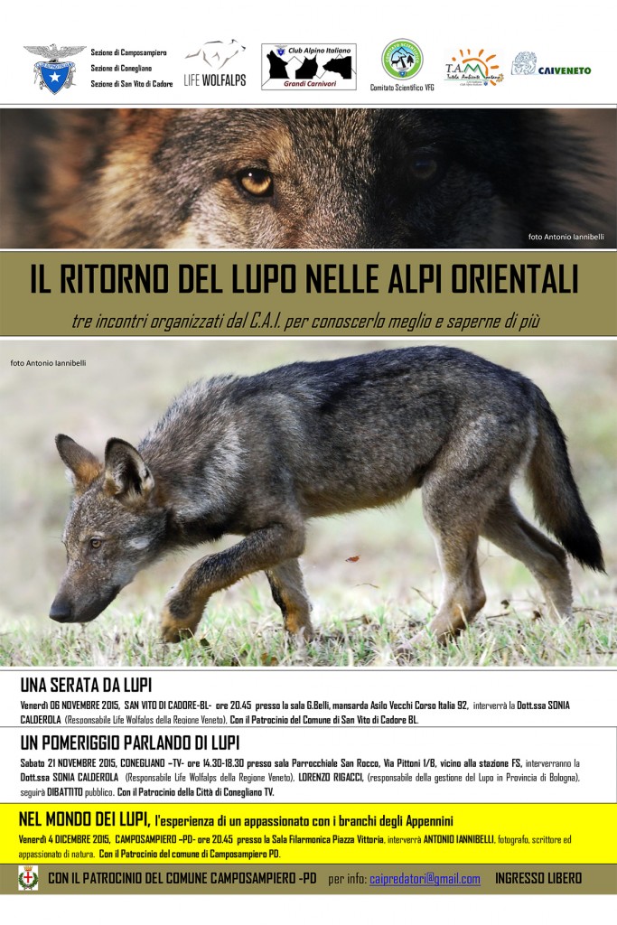 Nel mondo dei lupi – Camposanpiero Padova