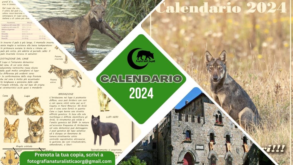 Calendario del lupo 2024