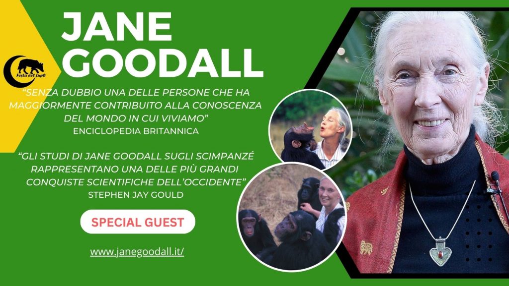 Jane Goodall in difesa del lupo selvatico italiano