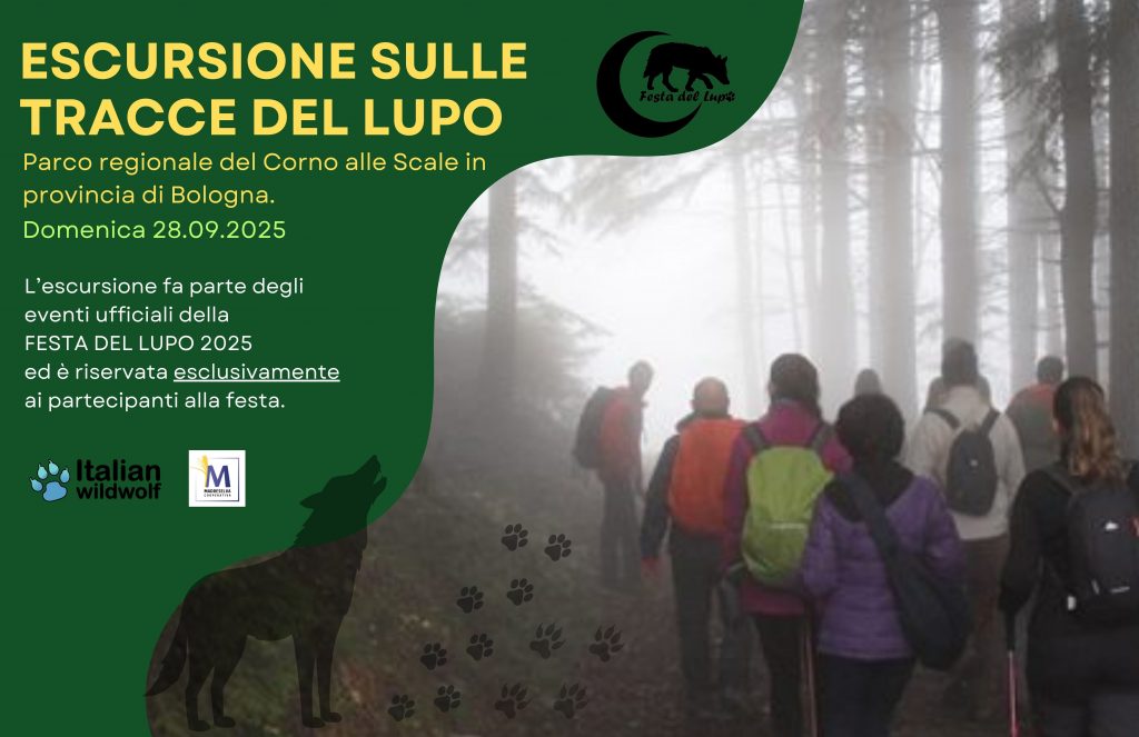 Festa del lupo 2025 – Escursione sulle tracce del lupo