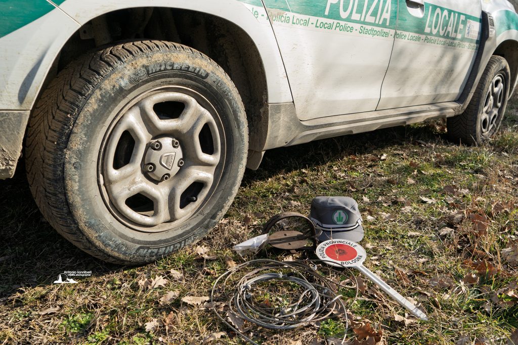 Il lupo di Villa Ghigi: tra falsi allarmi e responsabilità umana